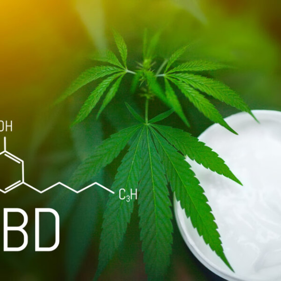 moisturizer-cannabis-jar-against-background-hemp-bush-cosmetic-hemp-skin-care-cream-cbd-cannabis-formula-600x600